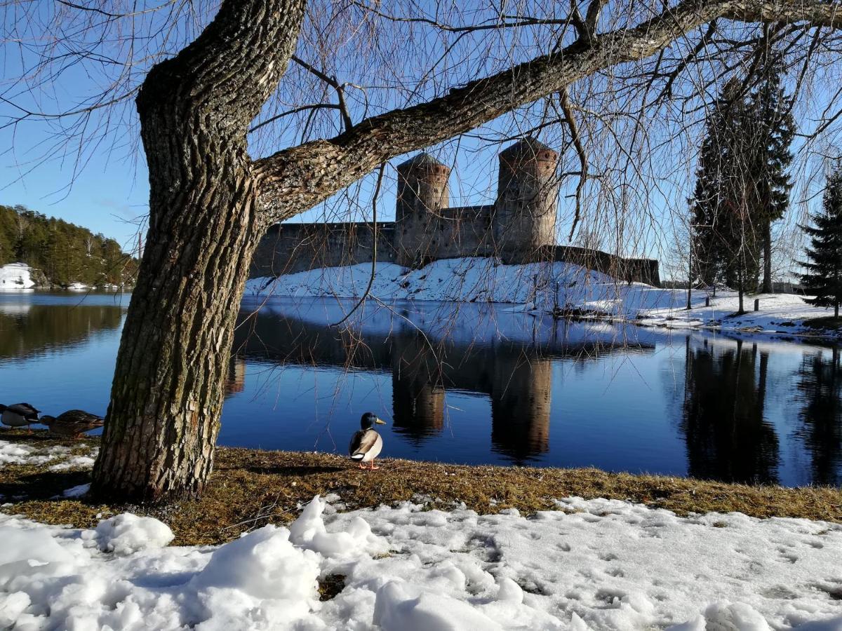 Savonlinna Rentals Zewnętrze zdjęcie